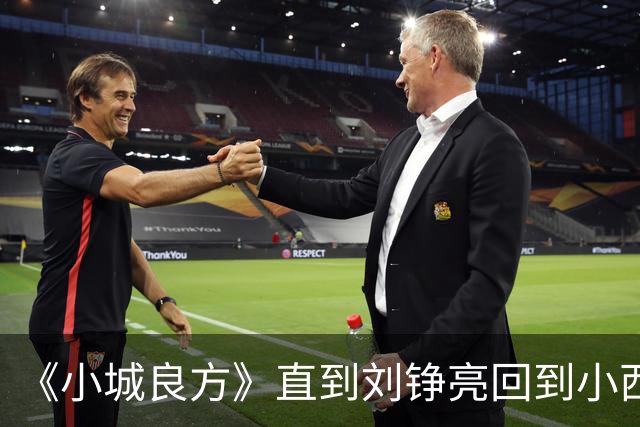 《小城良方》直到刘铮亮回到小西门，才明白龙冬冬有多厉害