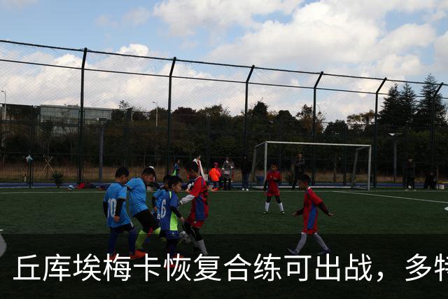 丘库埃梅卡恢复合练可出战，多特门将迈尔因病存疑