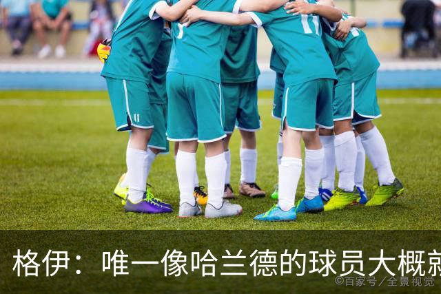 格伊：唯一像哈兰德的球员大概就是凯恩 欧战我们或许要少些激进